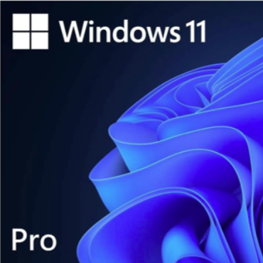 Windows 11 Pro  ESD litsents